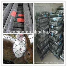 hexagonal wire mesh rabbit cage chicken fence/galvanized hexagonal wire mesh(best sell)